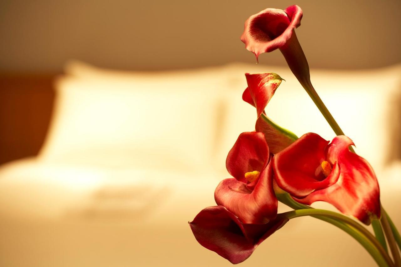 The B Hachioji Hotel Bilik gambar